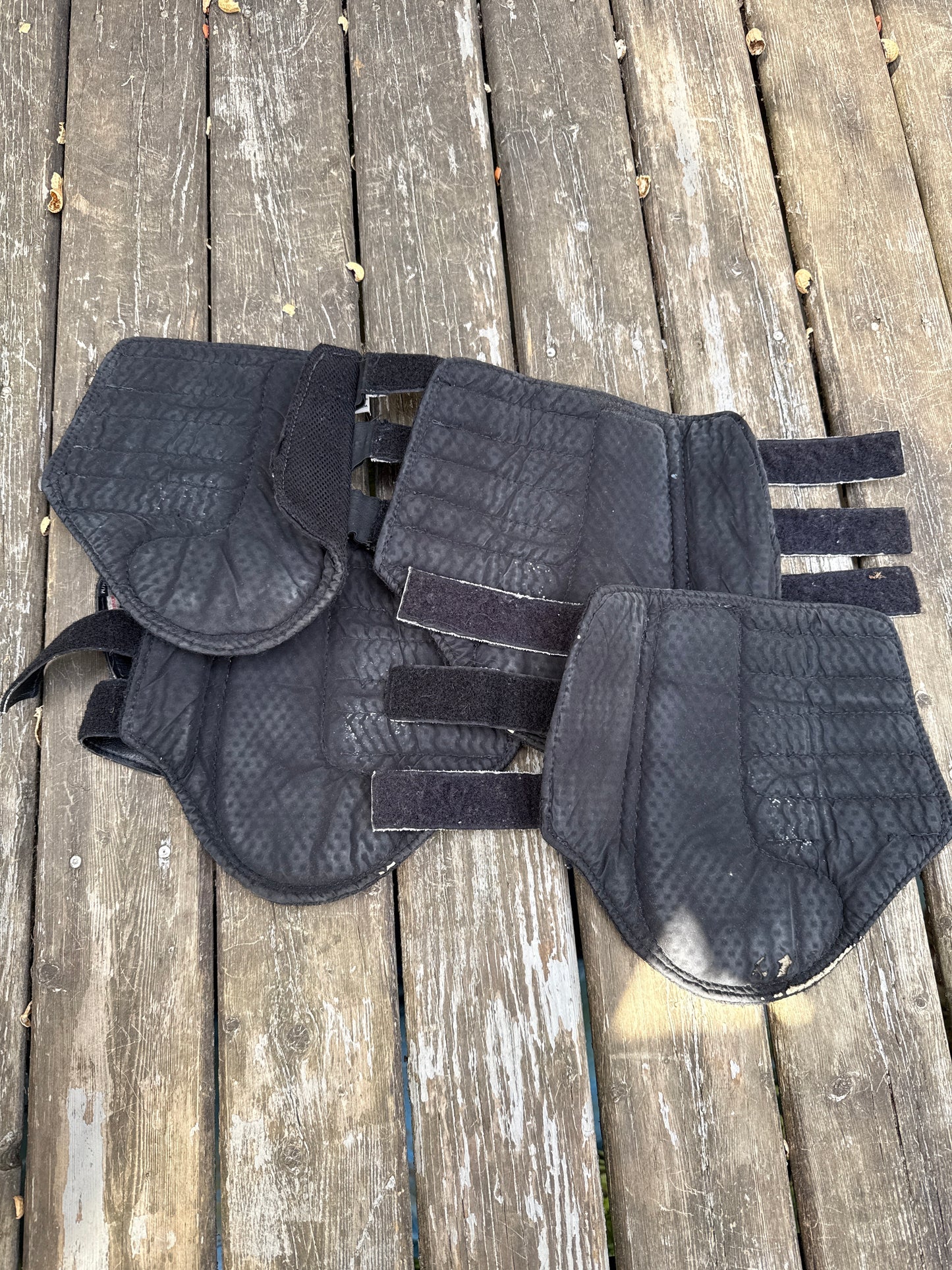 Ecogold brushing boots