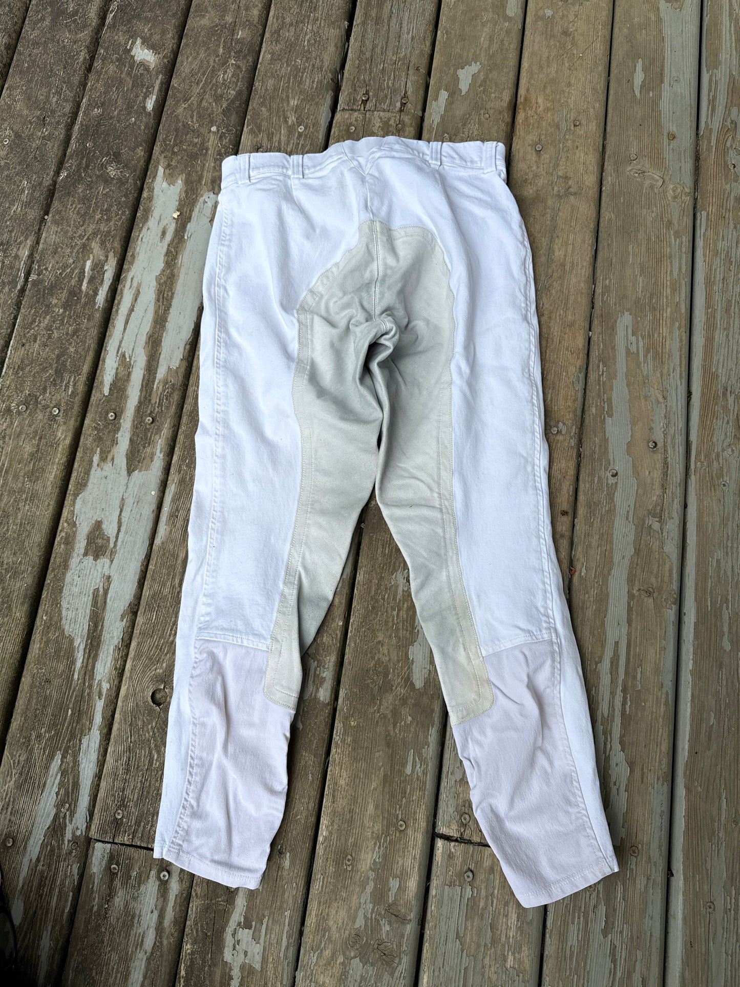 Ariat 26R fullseat white breeches