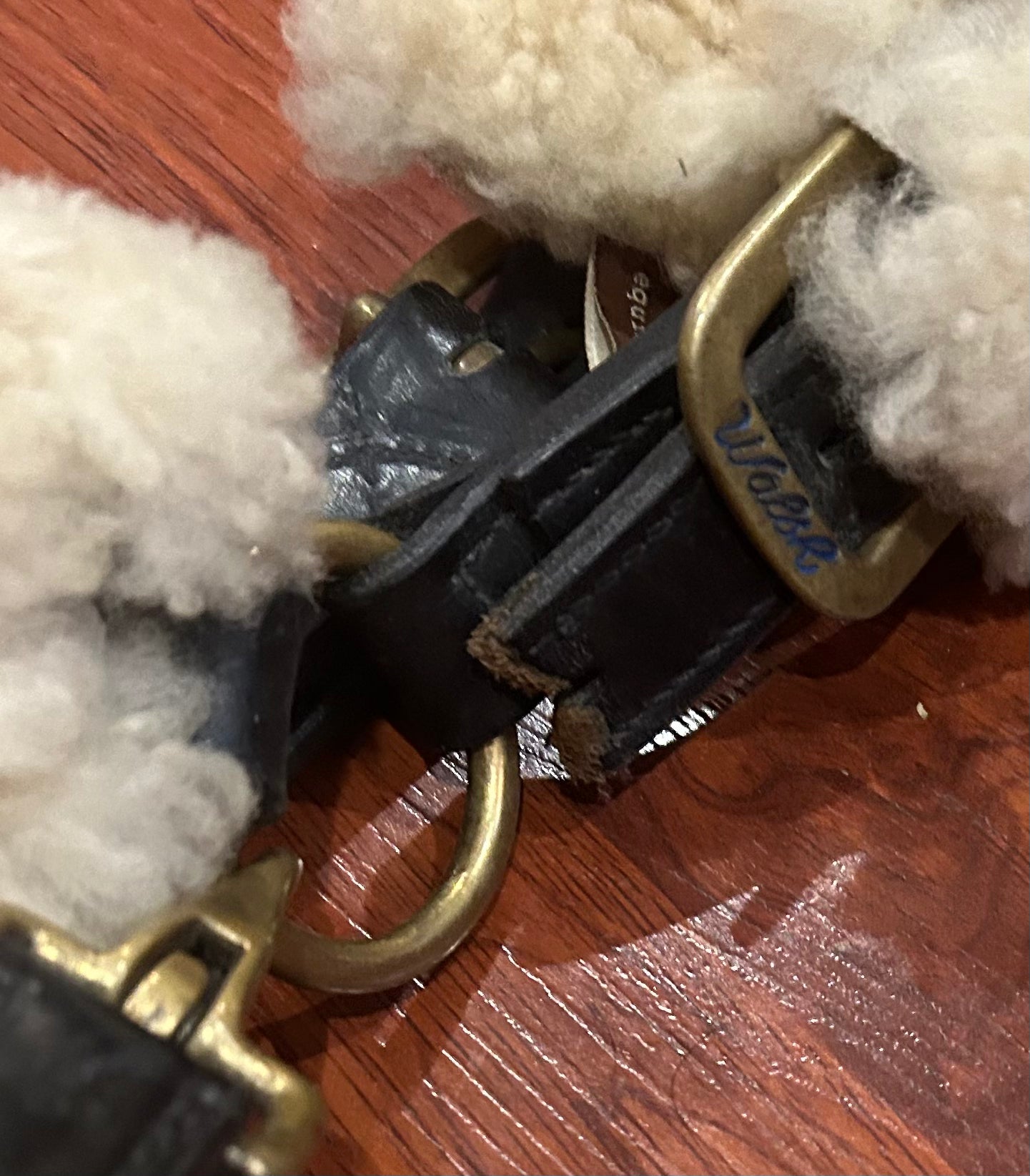 Walsh shipping halter full size. Broken/shortened crown piece on one side