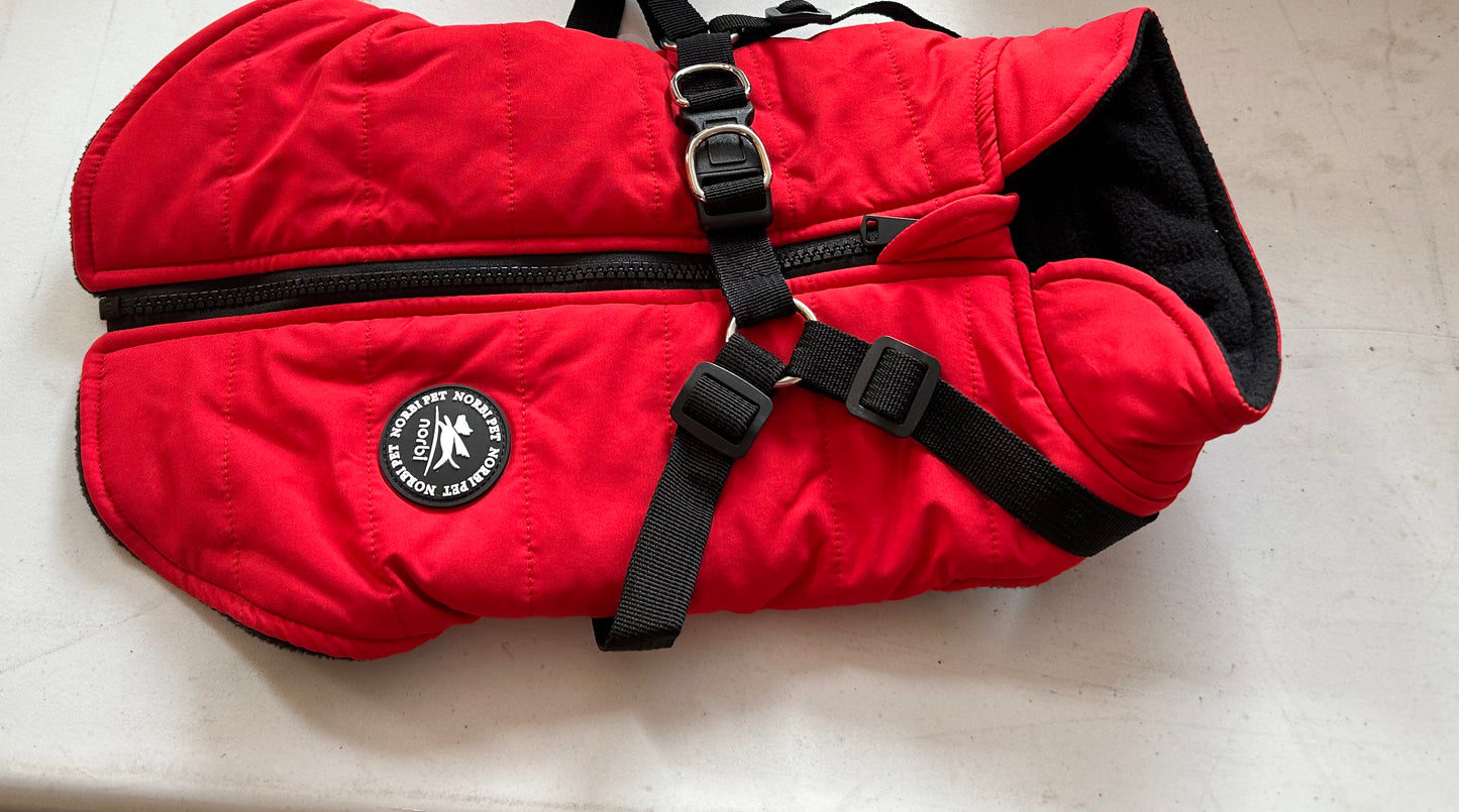 Norbi pet med red dog jacket