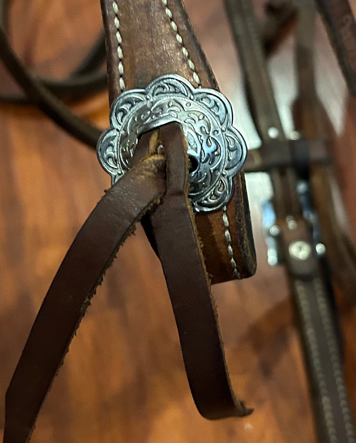Horse Shoe full size western headstall