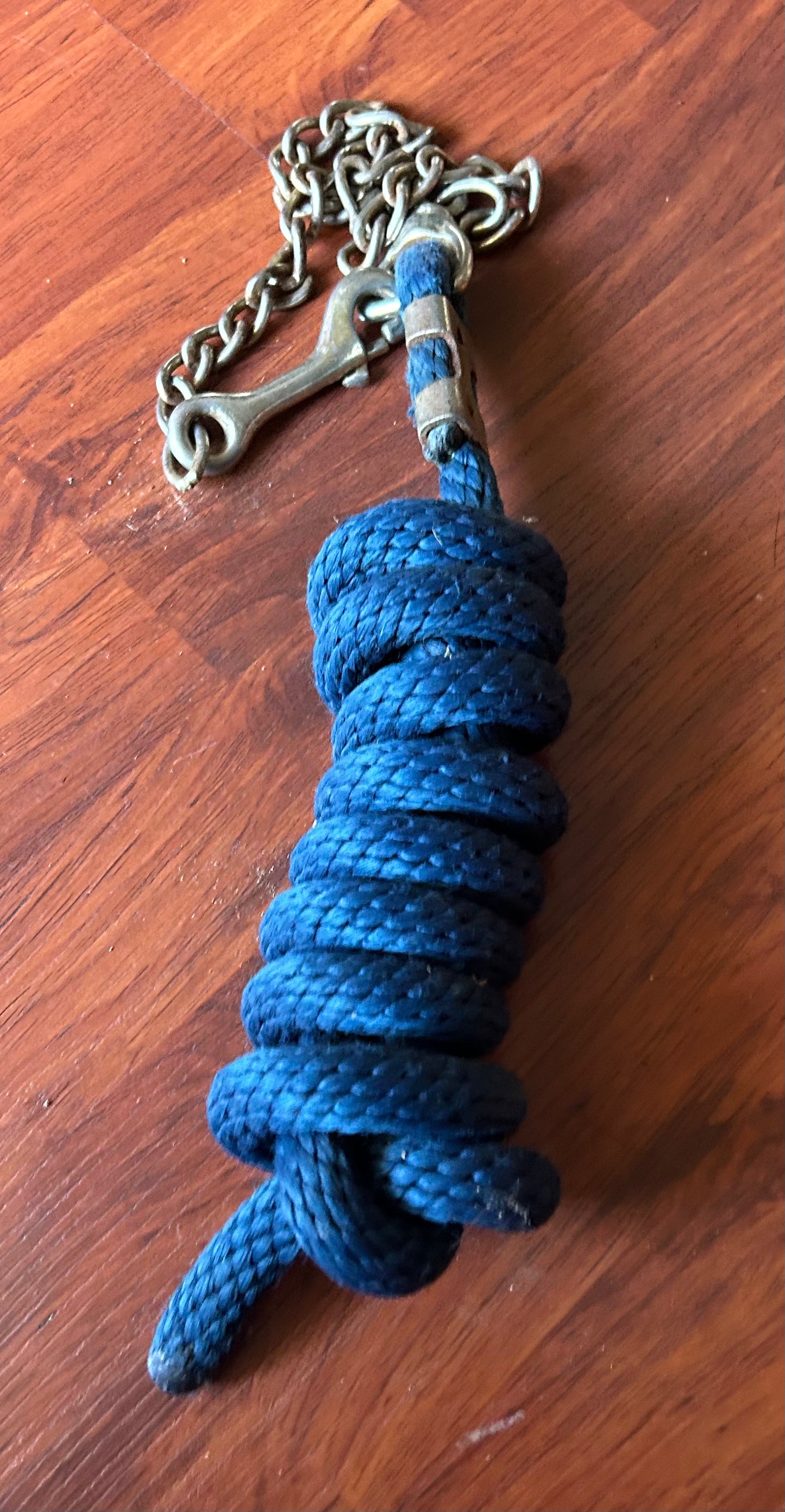 Blue lead rope with 24” chain