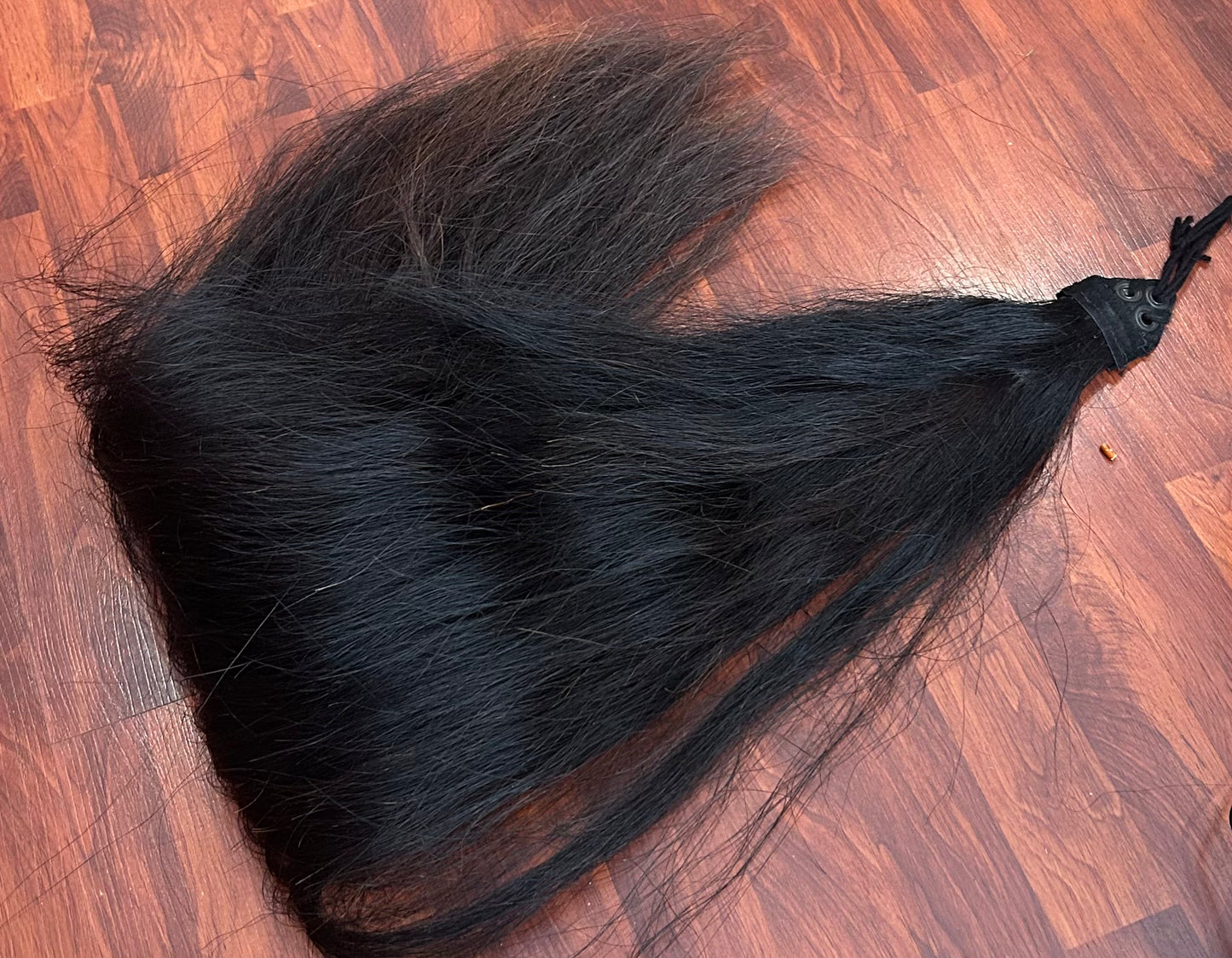 Black with brown highlights long thick black tail
