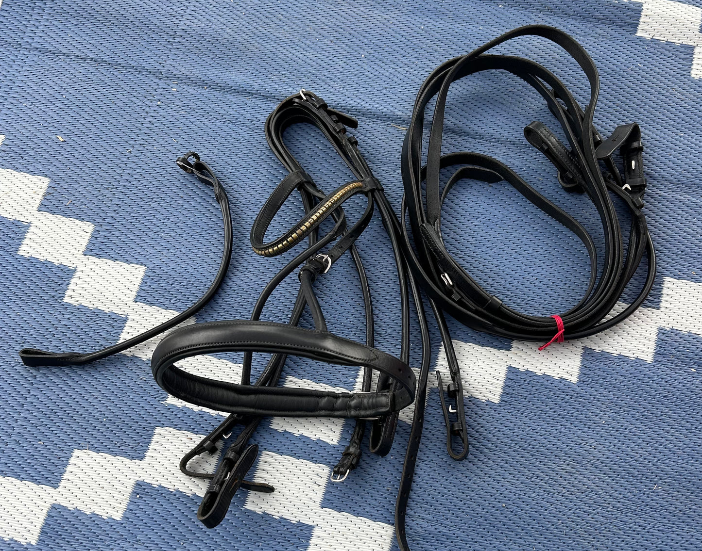 Otto Schumacher size 1 (cob) rolled double. cavasson noseband additionsl browband and reins