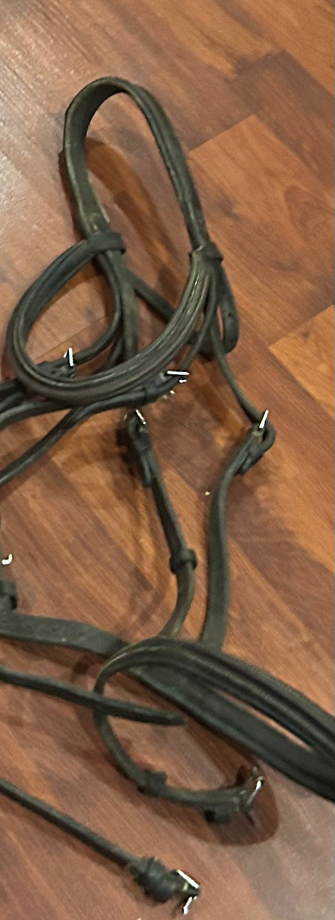 Full size brown bridle. needs oiled.