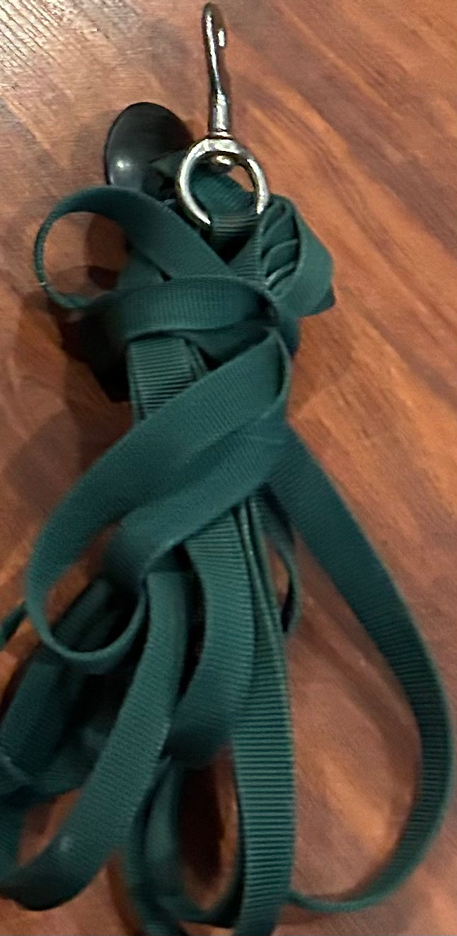 Green nylon lunge line