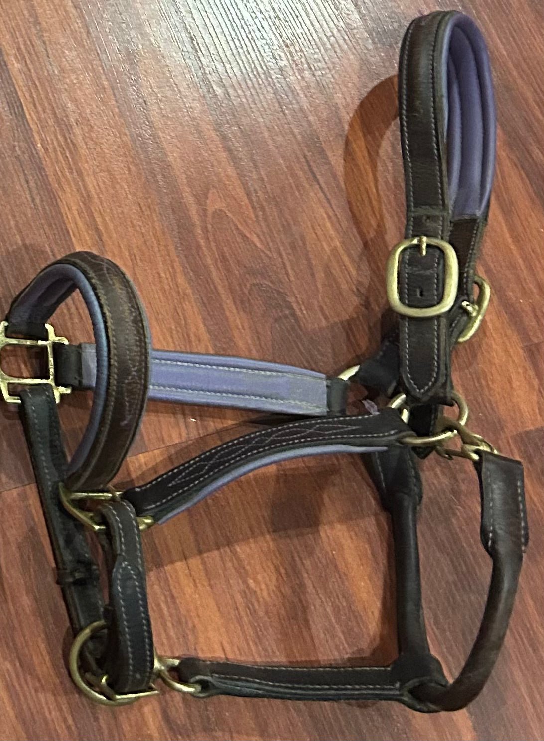 Brown leather halter with purple padding. Moderate condition.