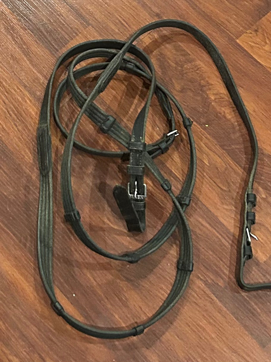 Kieffer black webbed reins. Need cleaned.