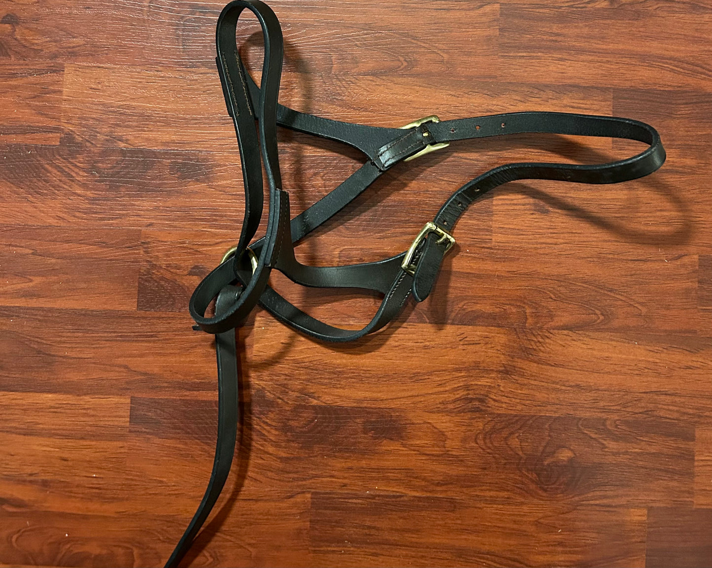 Leather Foal Halter