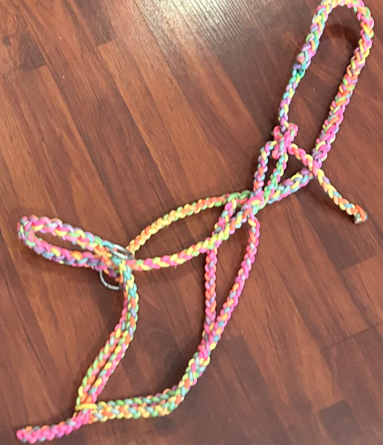 Small horse size braided pastel rainbow rope halter with twin attachment rings