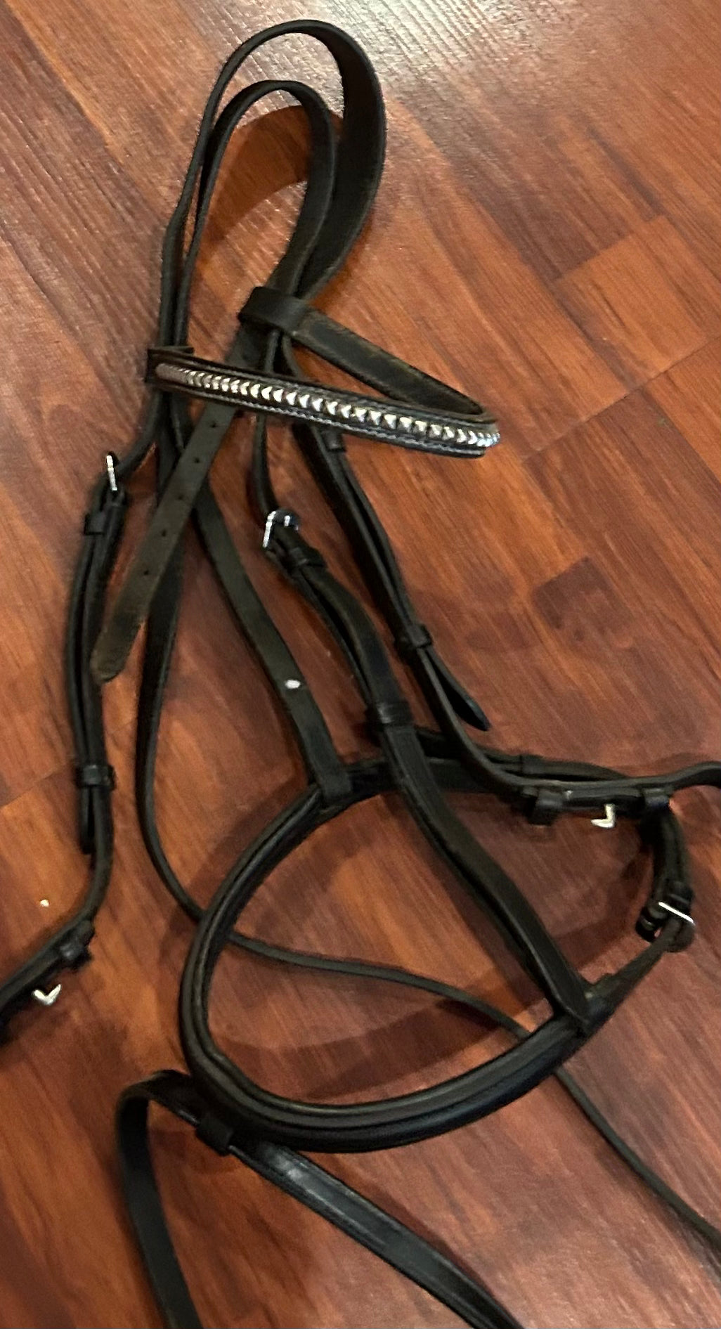 Lancers India full size black bridle.