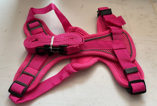 Pink dog harness.