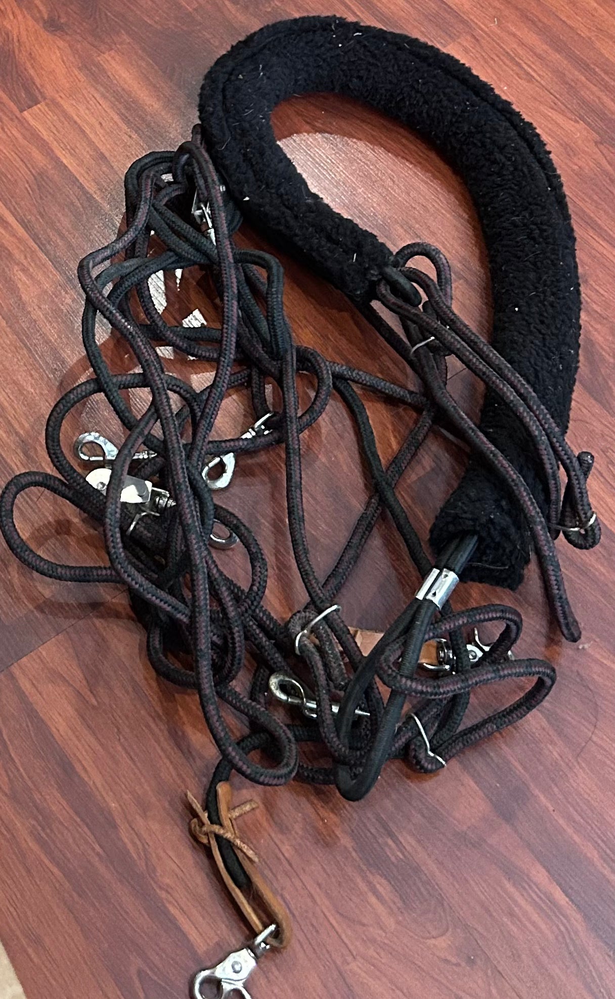 Lunging system
