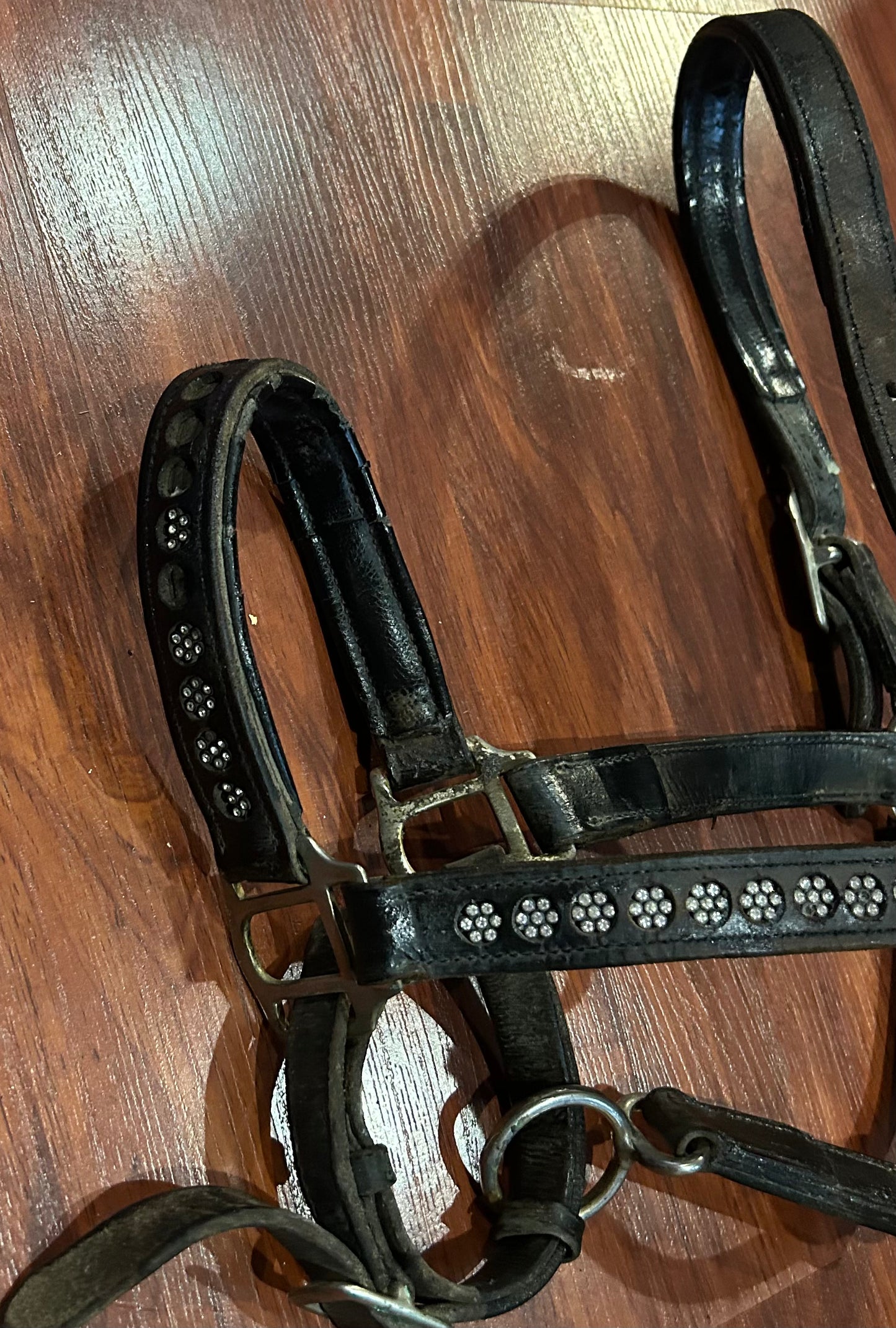 WB leather halter. stiff. missing bling