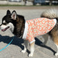 Large (small dog) dog sweater