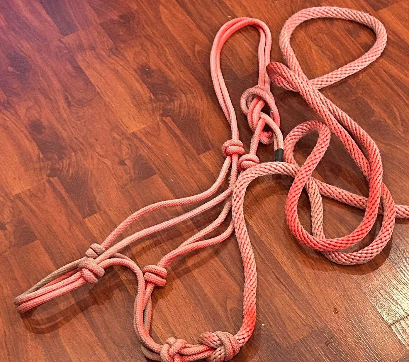 Horse size rope halter with lead. Coral