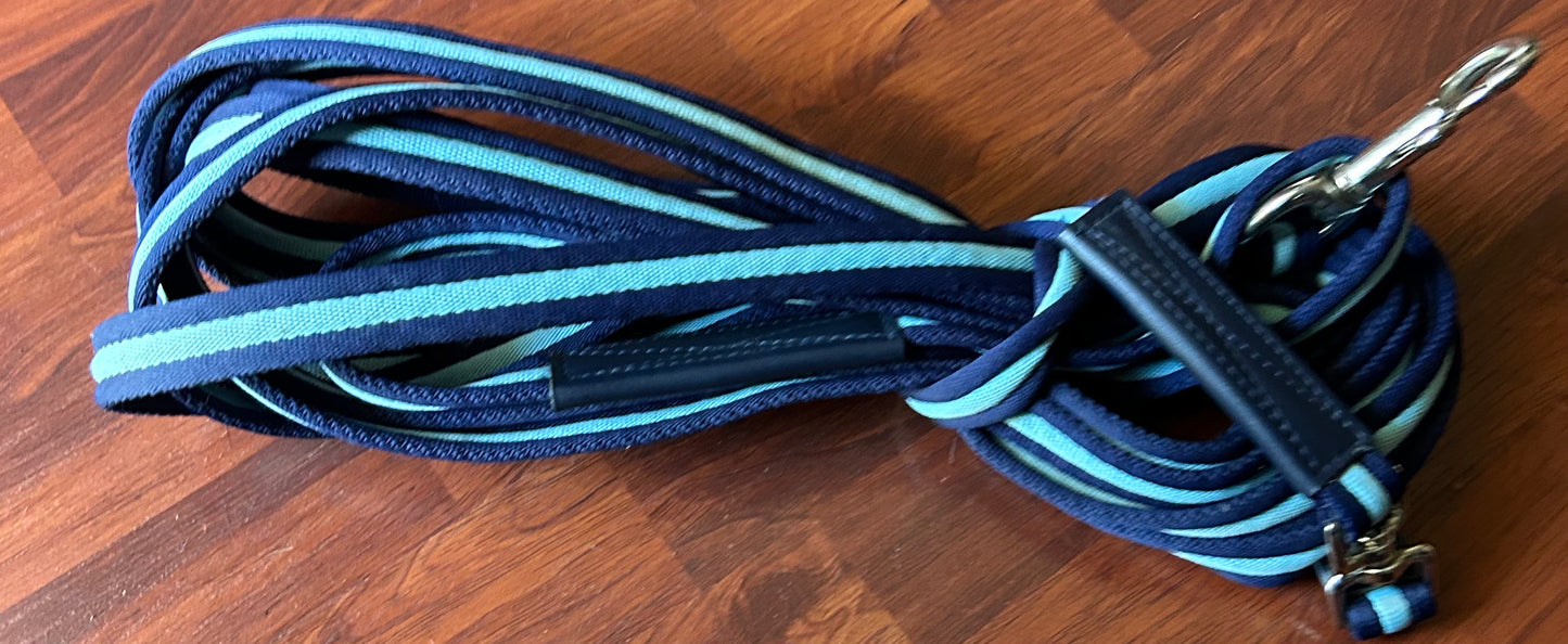 Blue lunge line