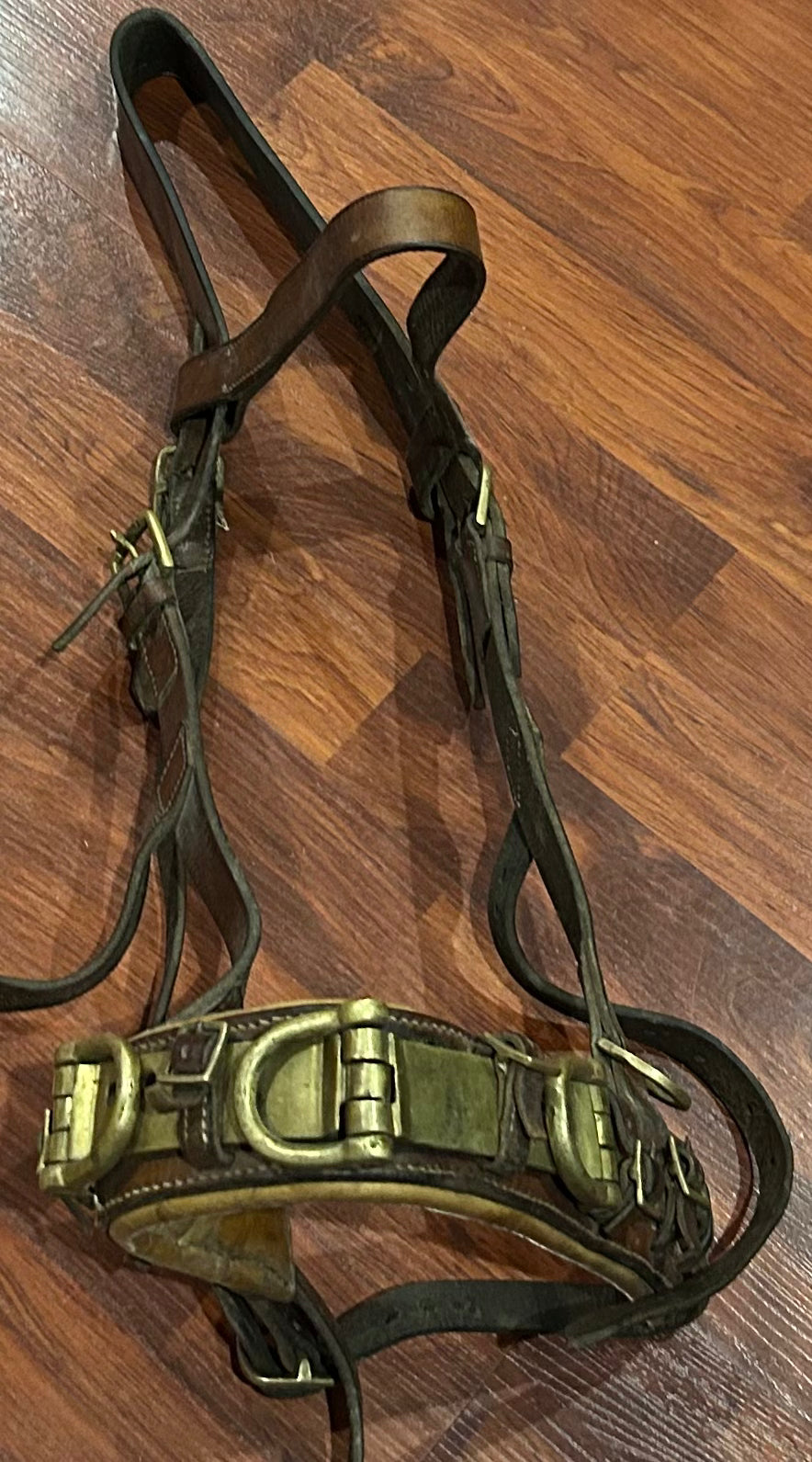 Heavy leather lunging Cavesson