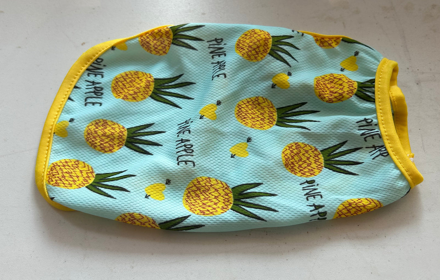 Pineapple small dog jacket (small dog)