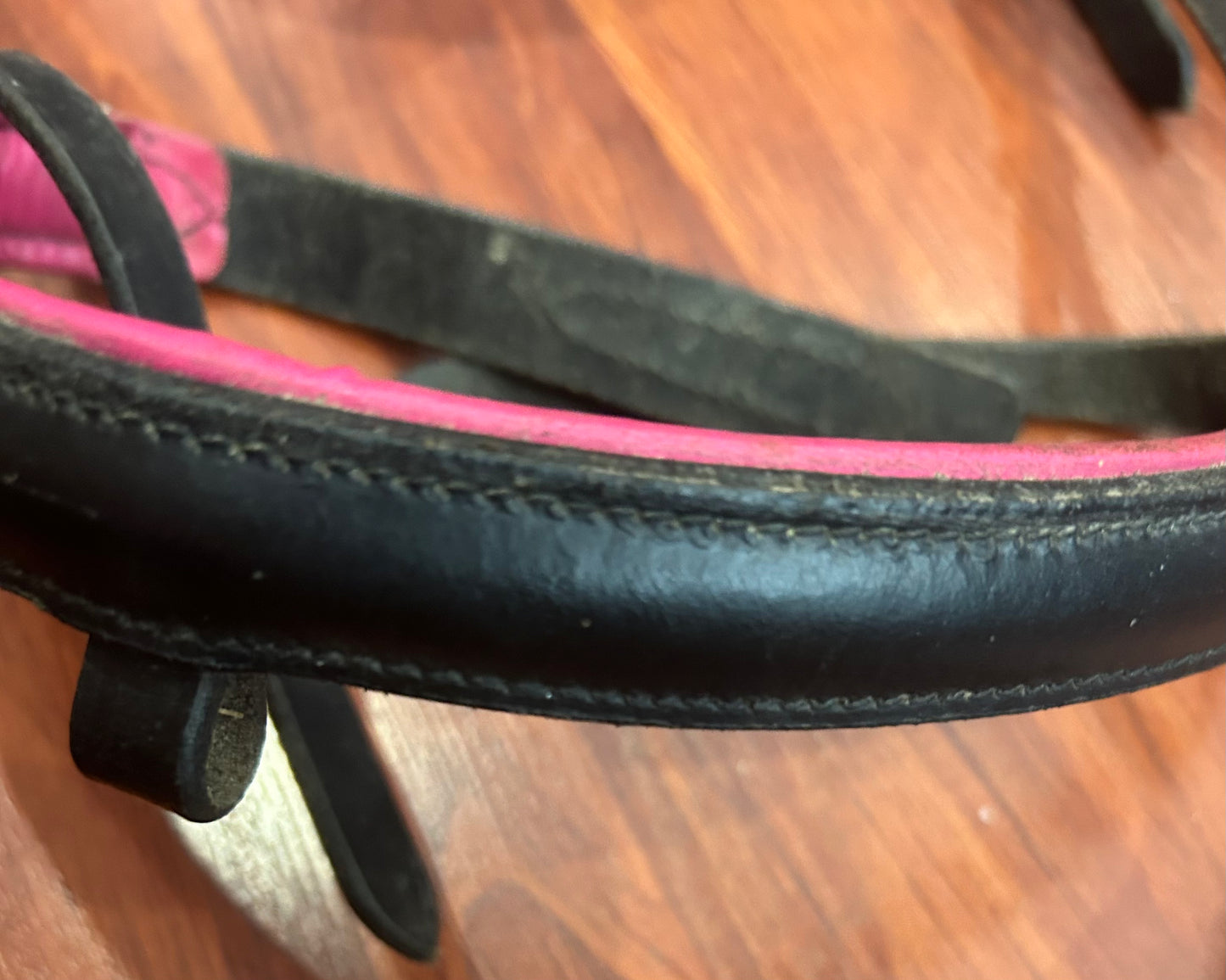 Cob size black/pink/rainbow bridle. No flash.