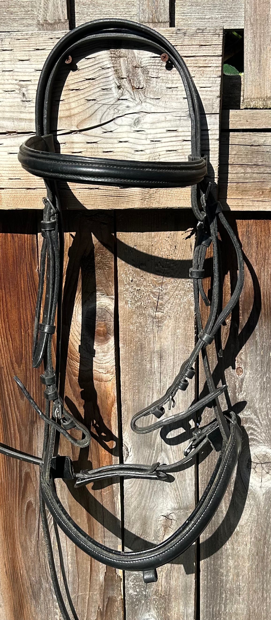 XF black bridle. Crank noseband missing flash