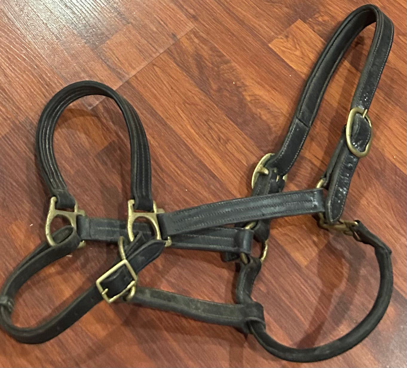 Full size black leather halter needs oiled
