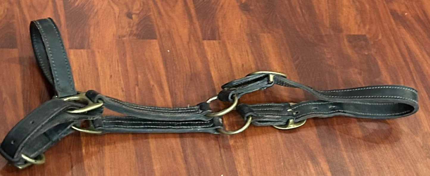 Cob leather grooming halter