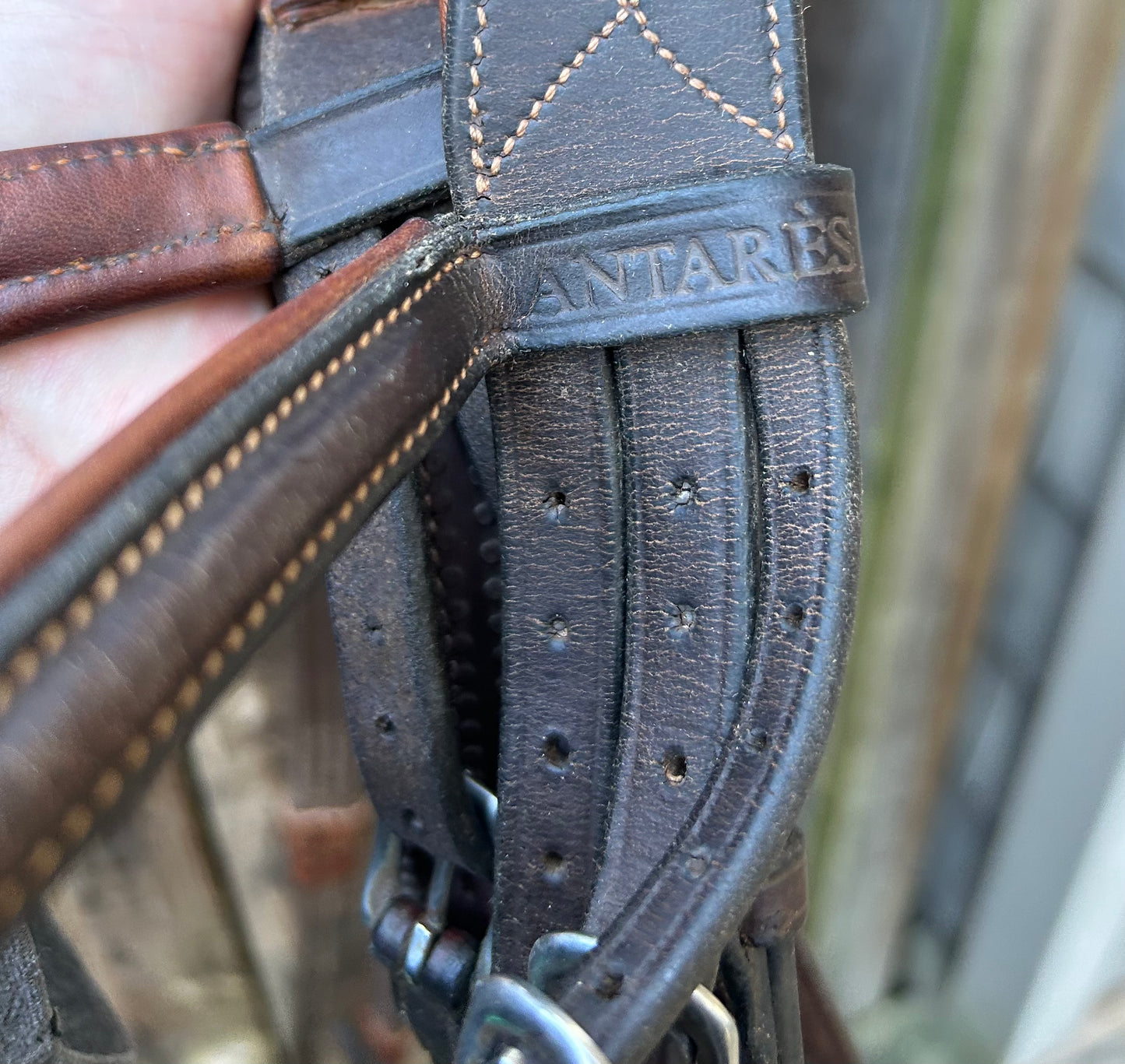 Antares full size figure 8 bridle with rubber reins