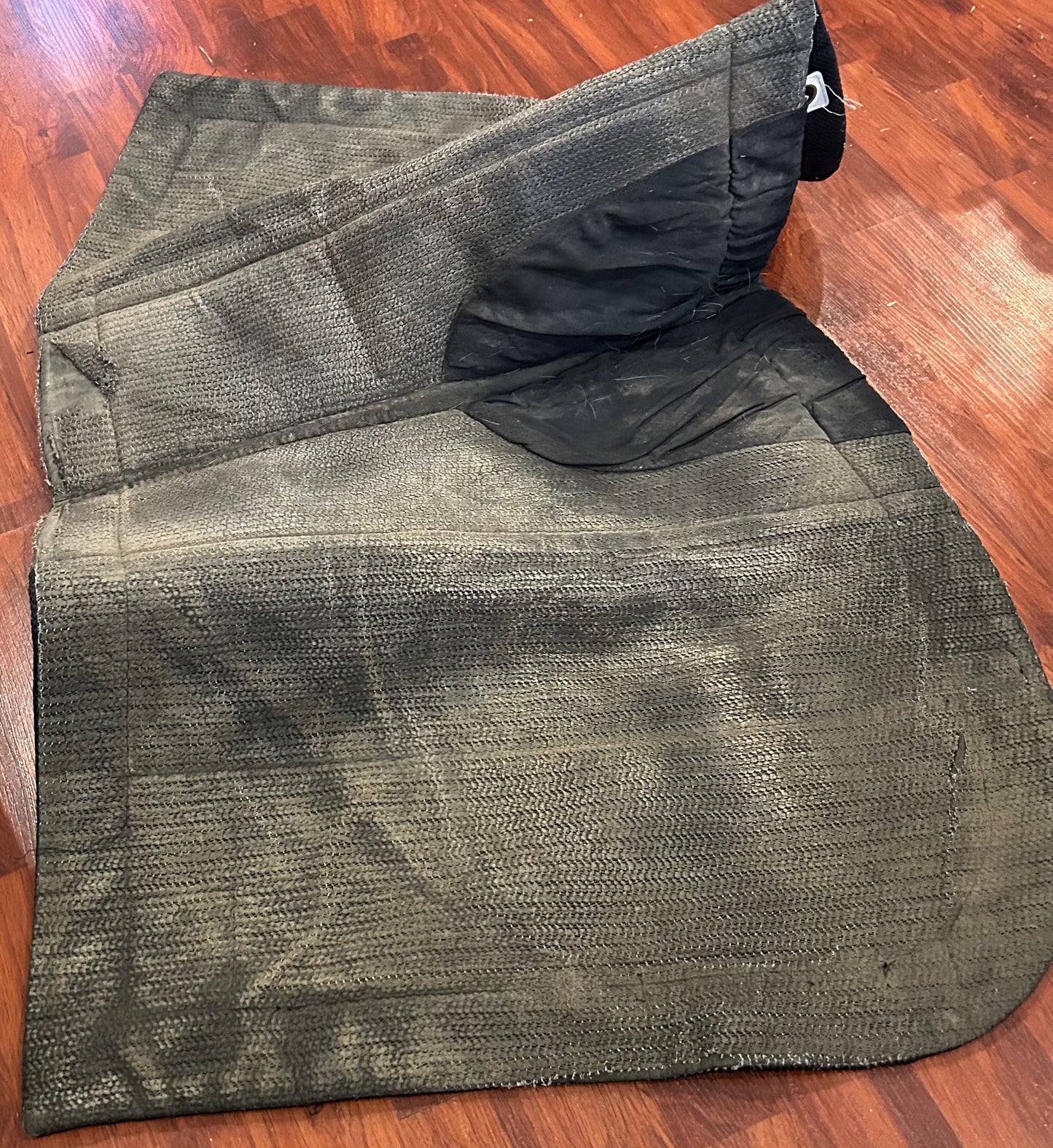 Eco Gold black dressage pad. Very dirty and damage to lining