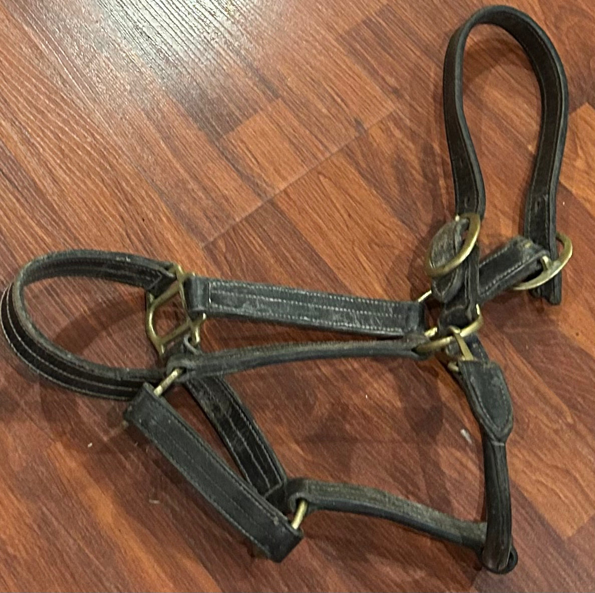 Full size black leather halter needs oiled. Broken one side crown piece so shorter.