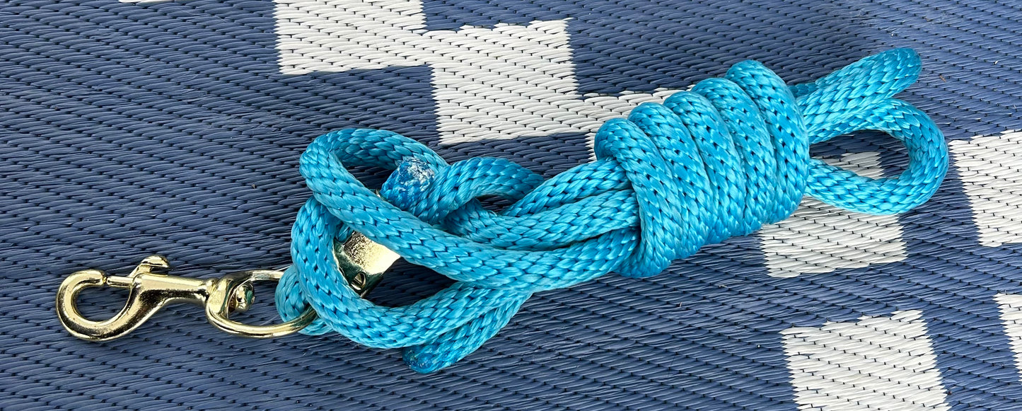 Turquoise lead rope