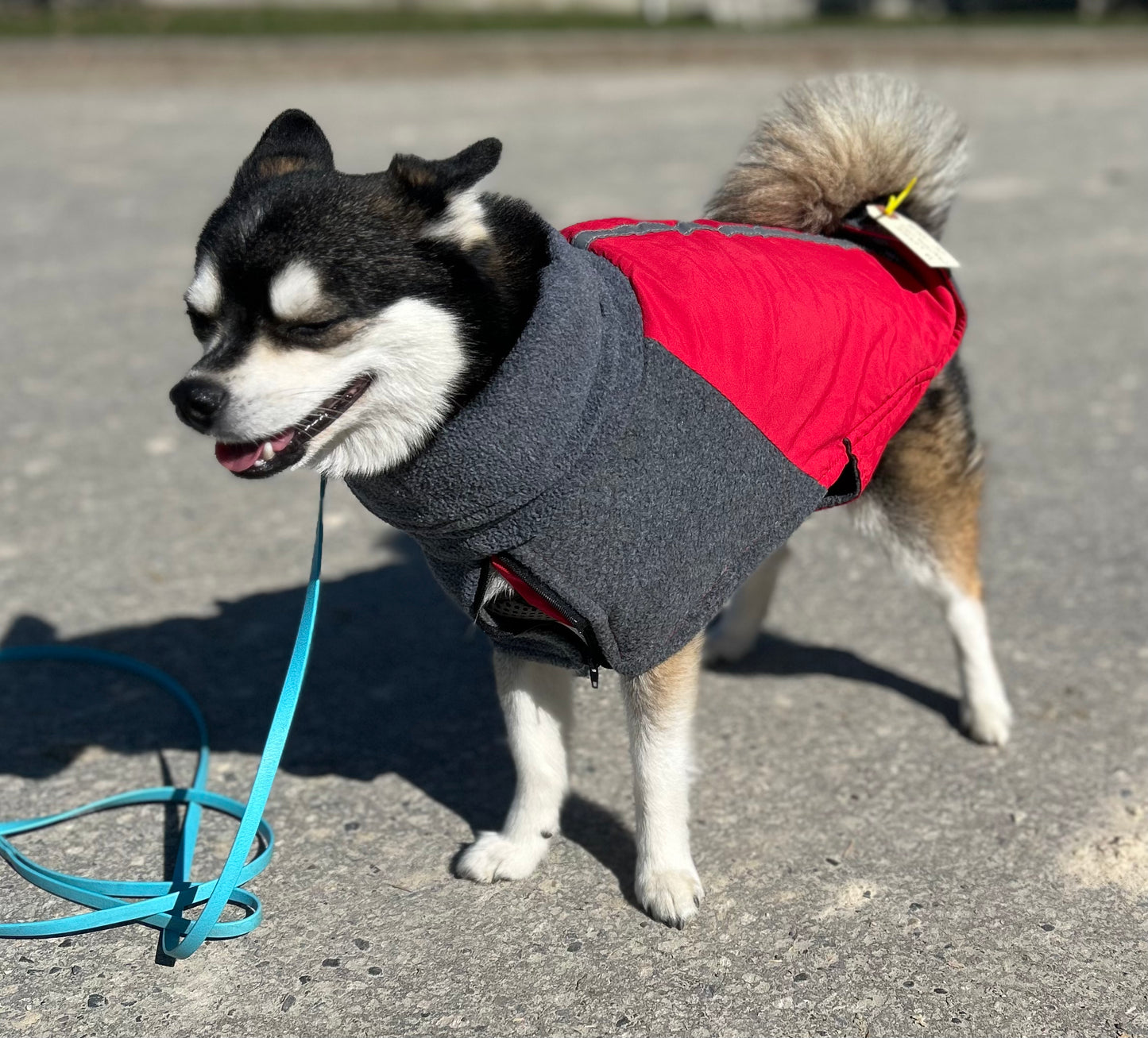 Slowton Med red dog jacket