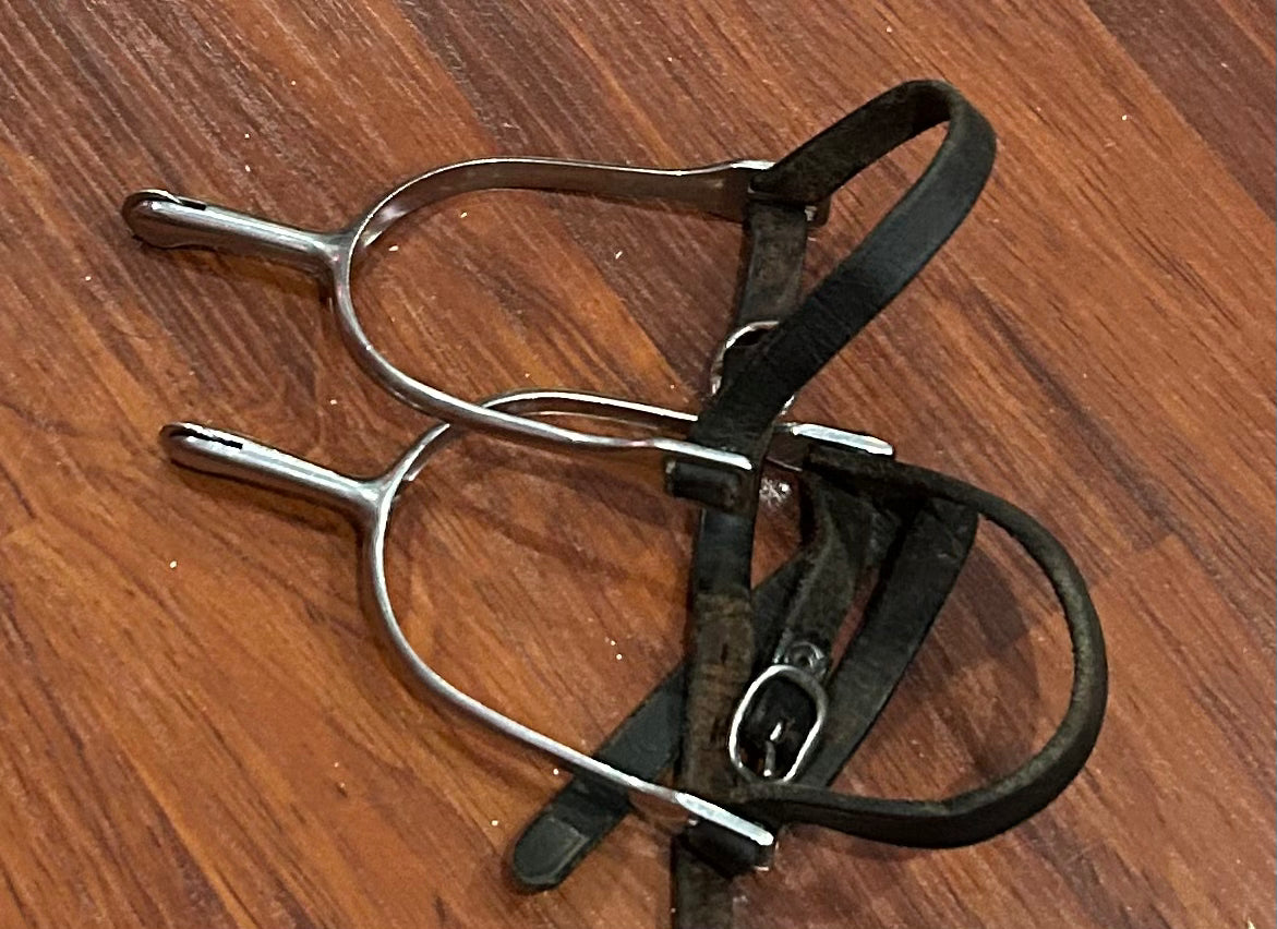 2” spurs with discs brown leather straps