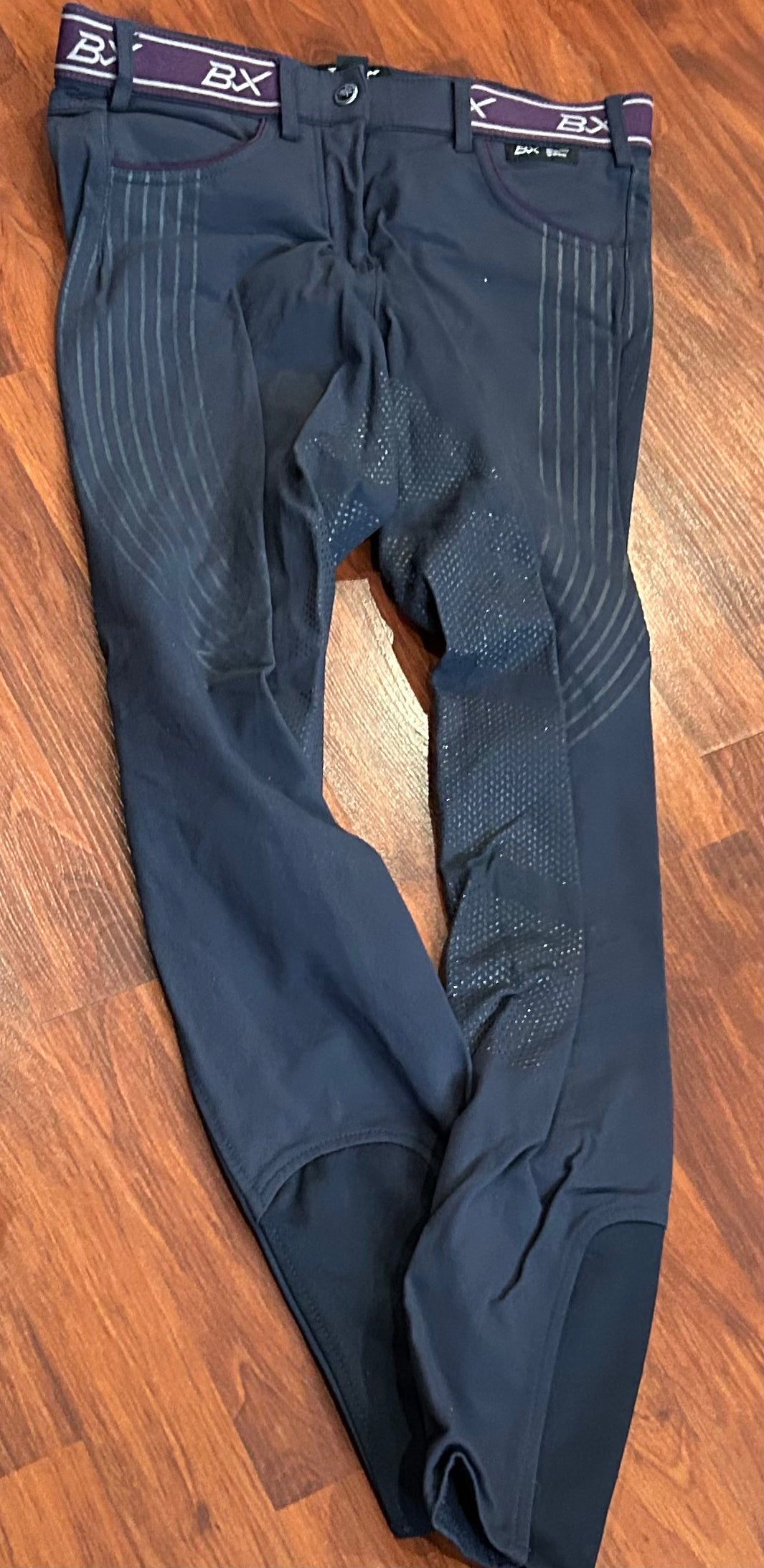 BVertigo size 24 BX navy with purple trim full seat breeches