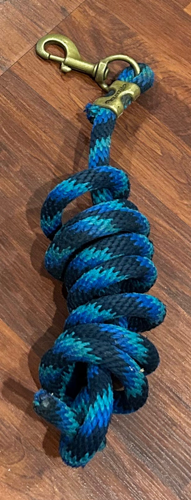 Blue lead rope