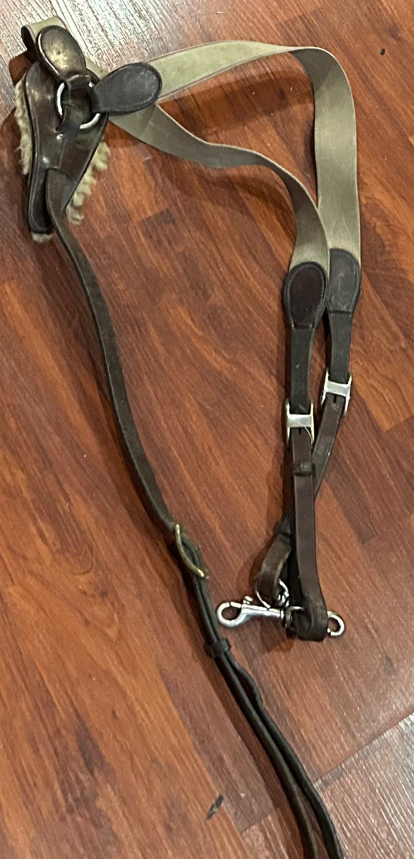 Full size elastic breastplate. Needs cleaned