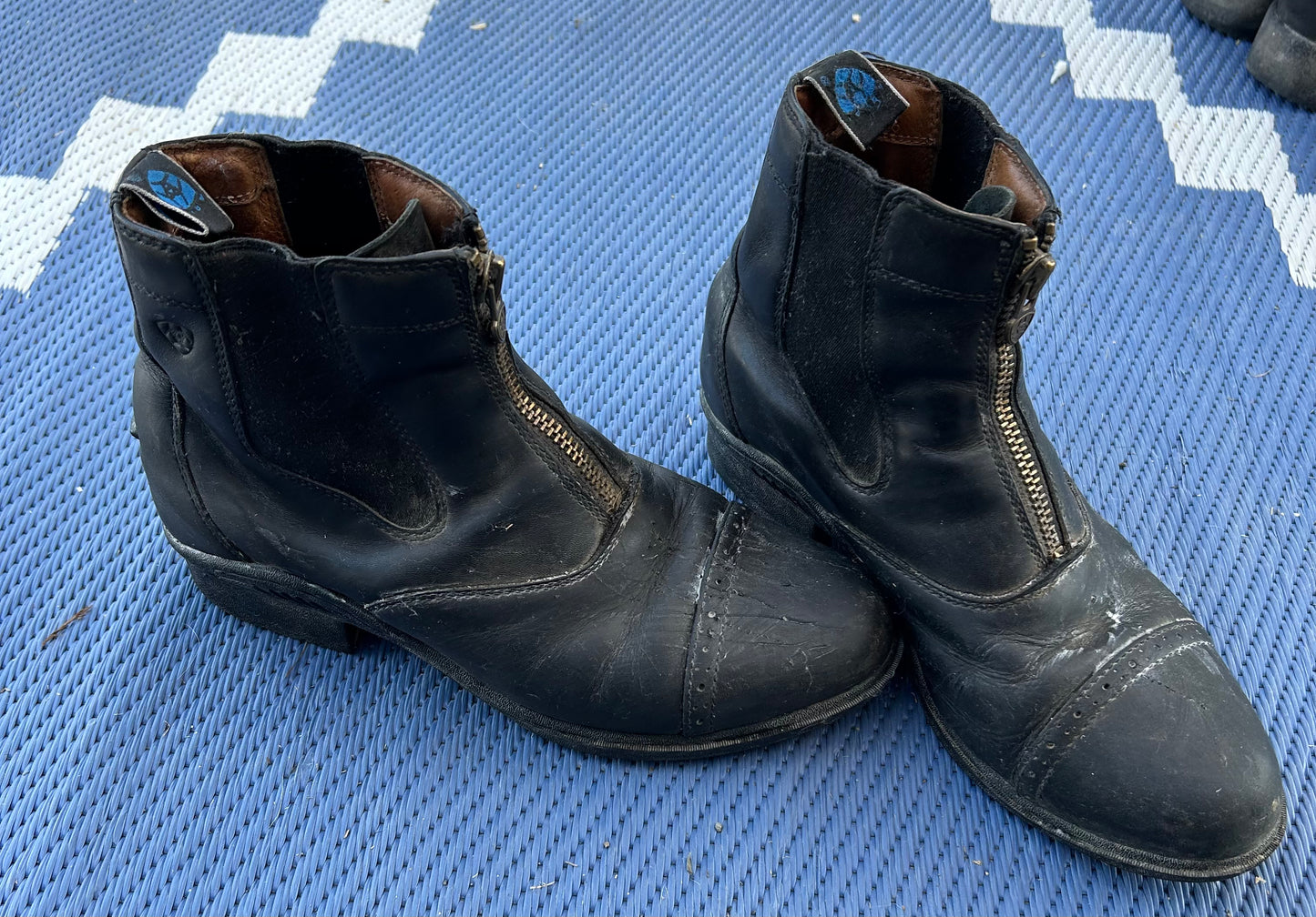 Ariat 8.5B paddock boots