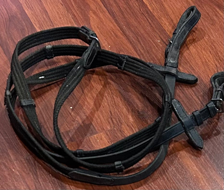 Black webbed reins.
