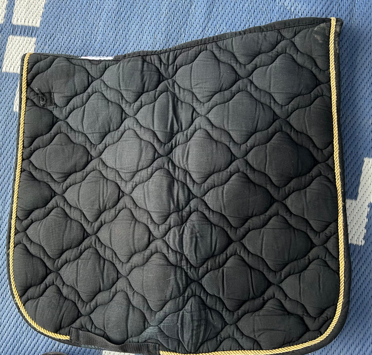 Black with gold trim saddle pad