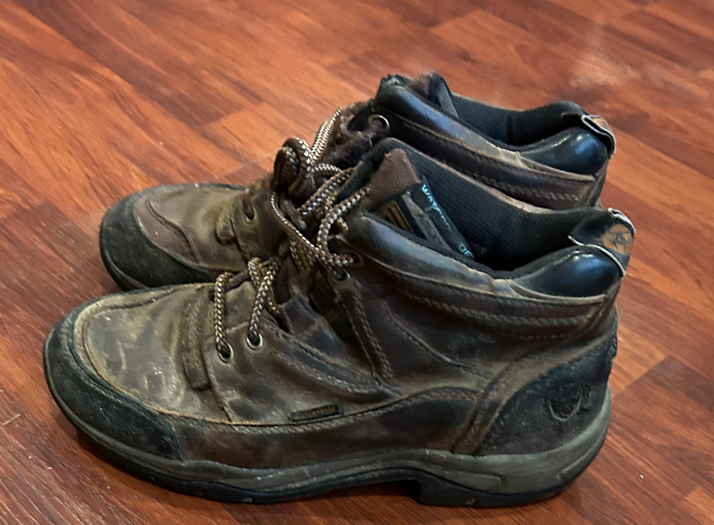 Ariat 8B short boots