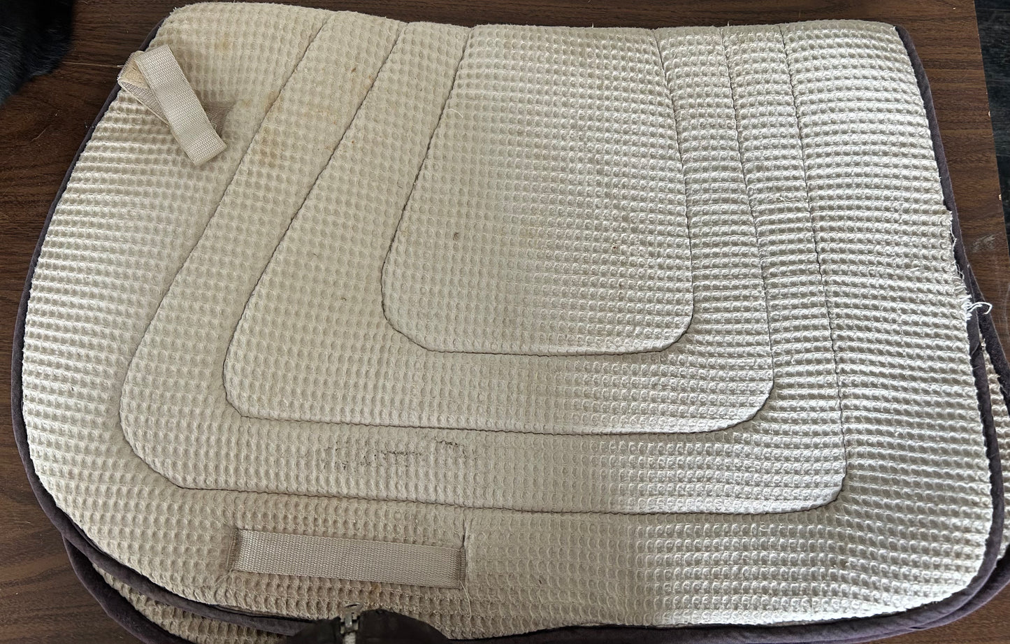 White Full size pad blue trim