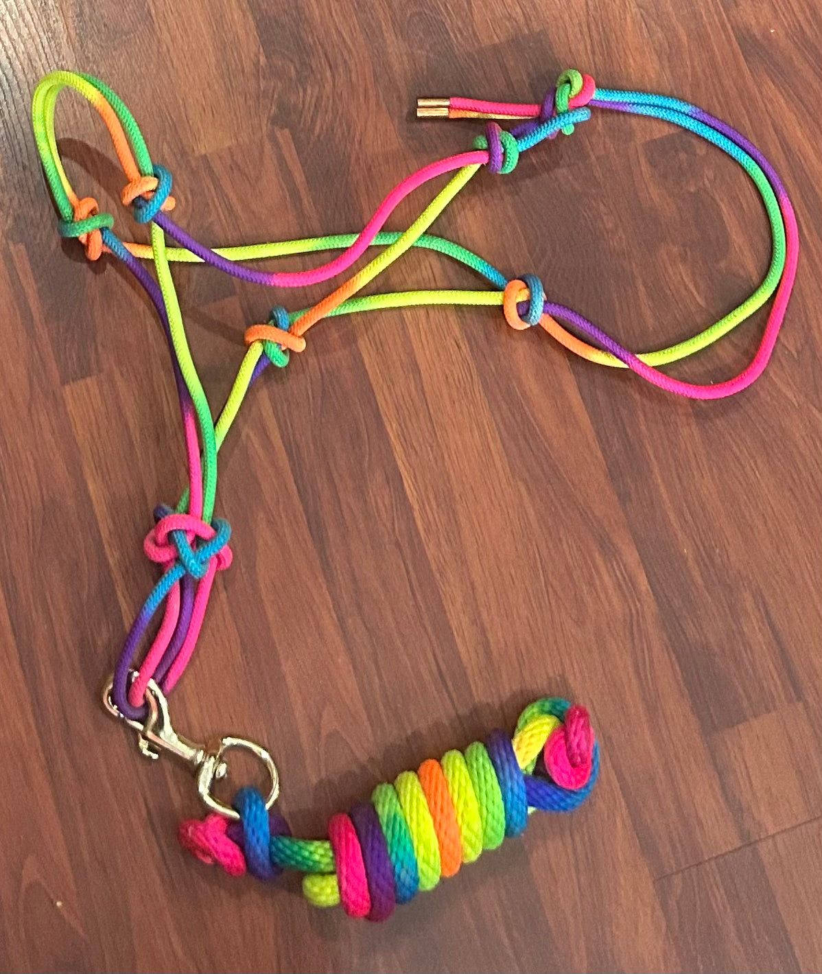 Rainbow cob/small horse rope halter with matching lead