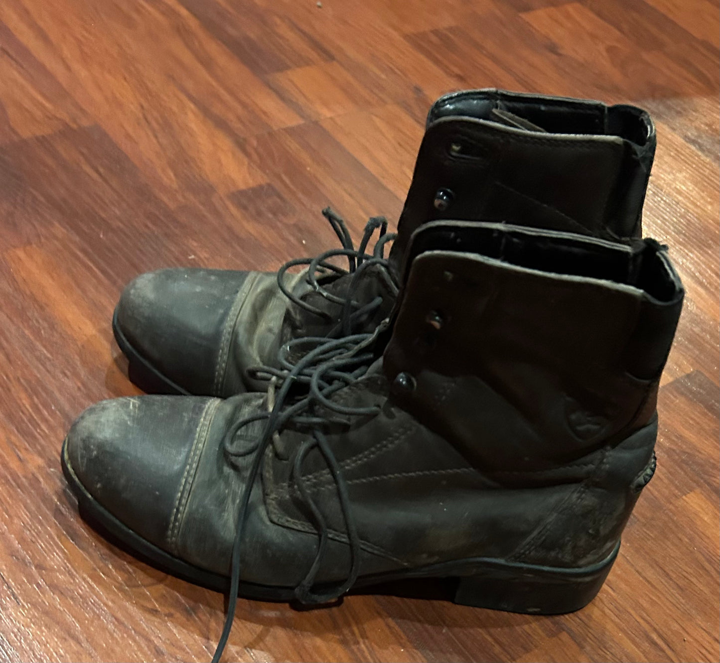 Ariat 6b brown paddock boots lace up