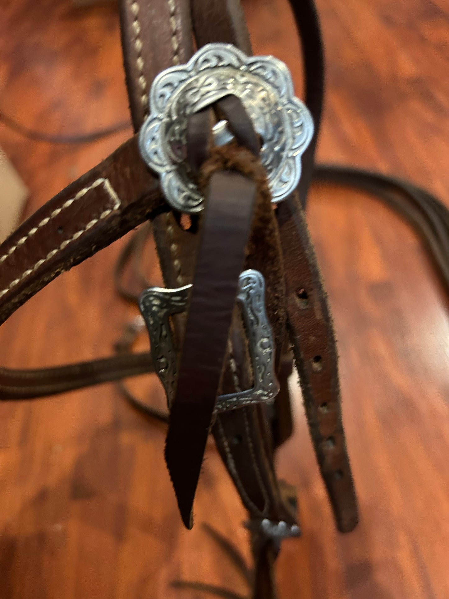 Horse Shoe full size western headstall