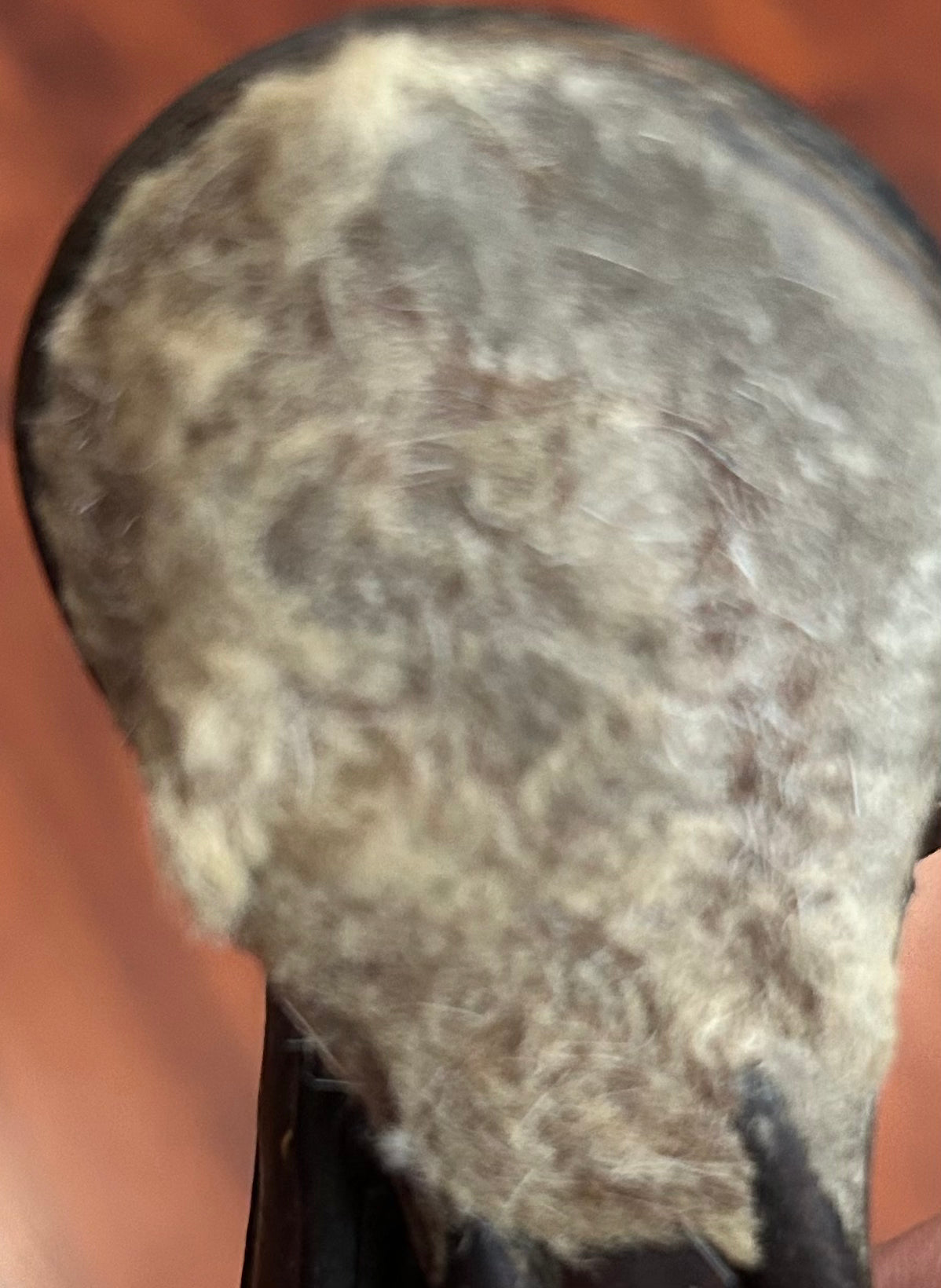 CWD full size breastplate. Fleece is worn.