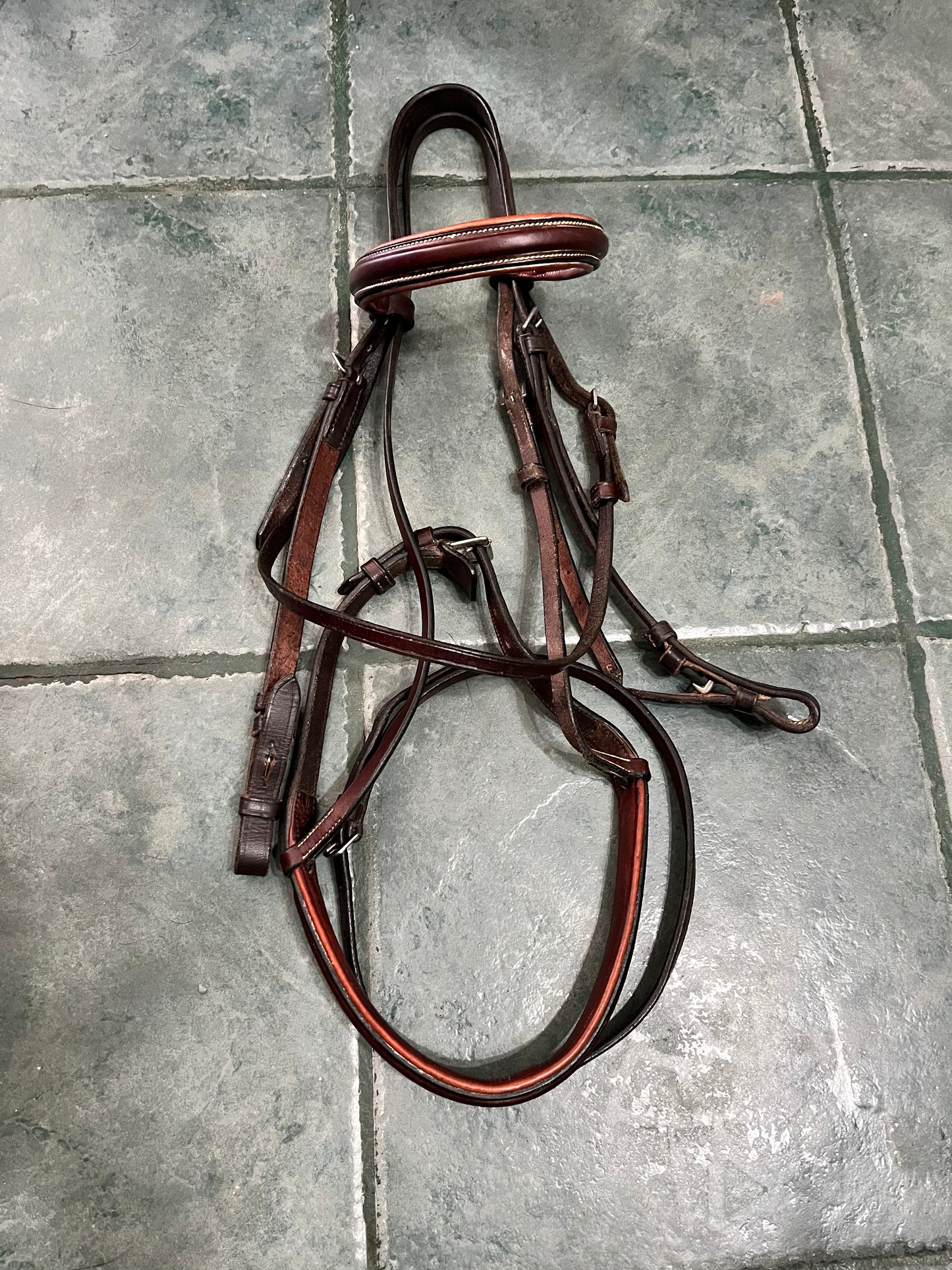 Brown schooling bridle with flash Full
