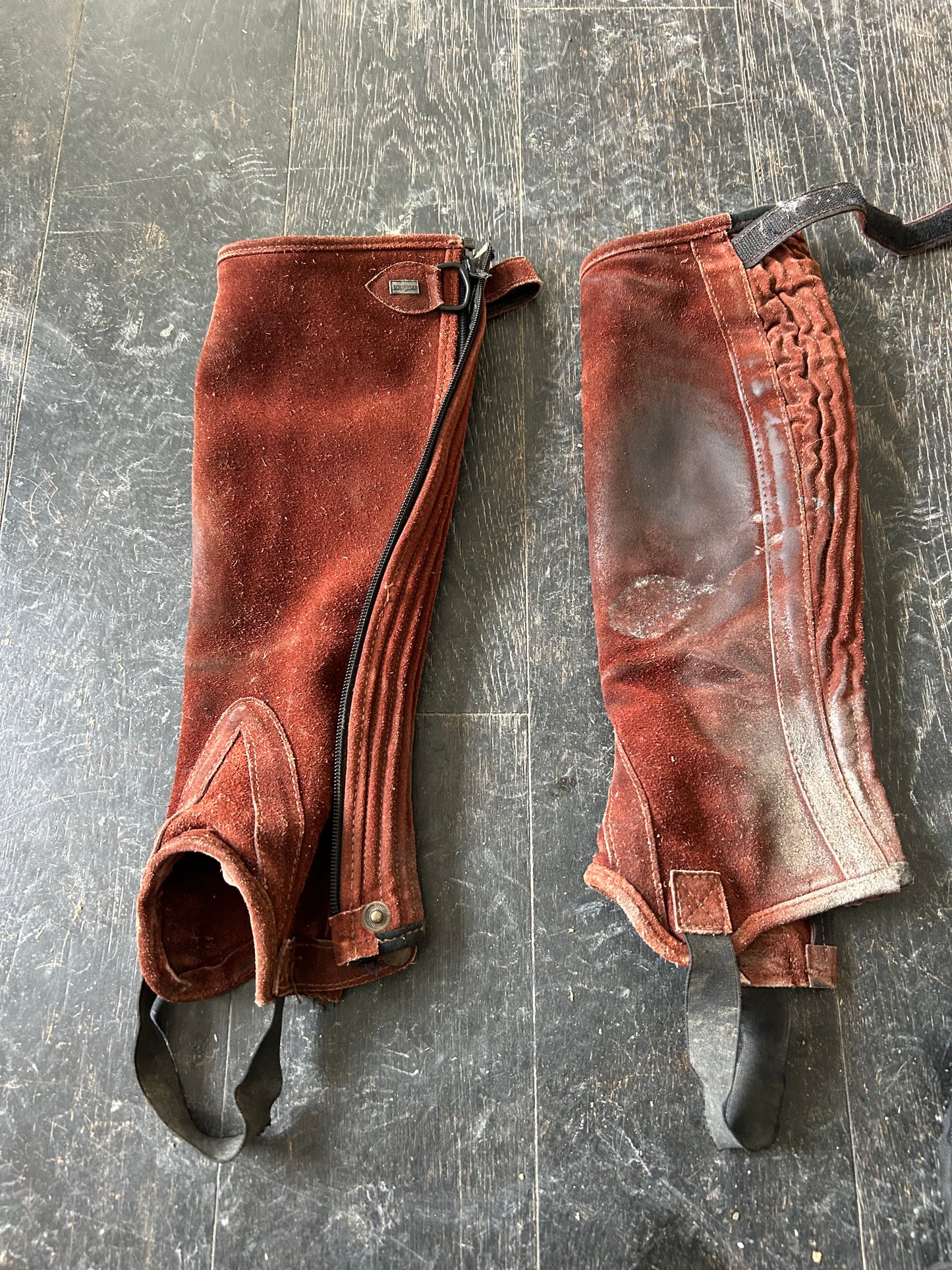Somerset medium suede half chaps