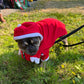 Santa outfit XXL (small dog)