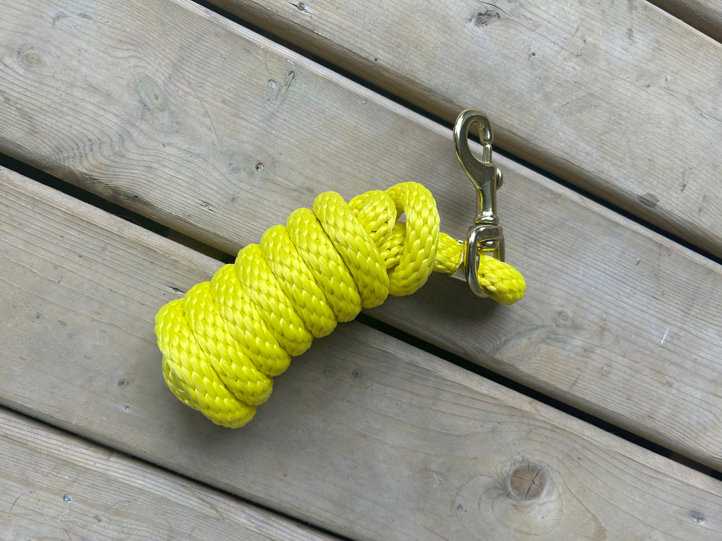 Yellow lead rope