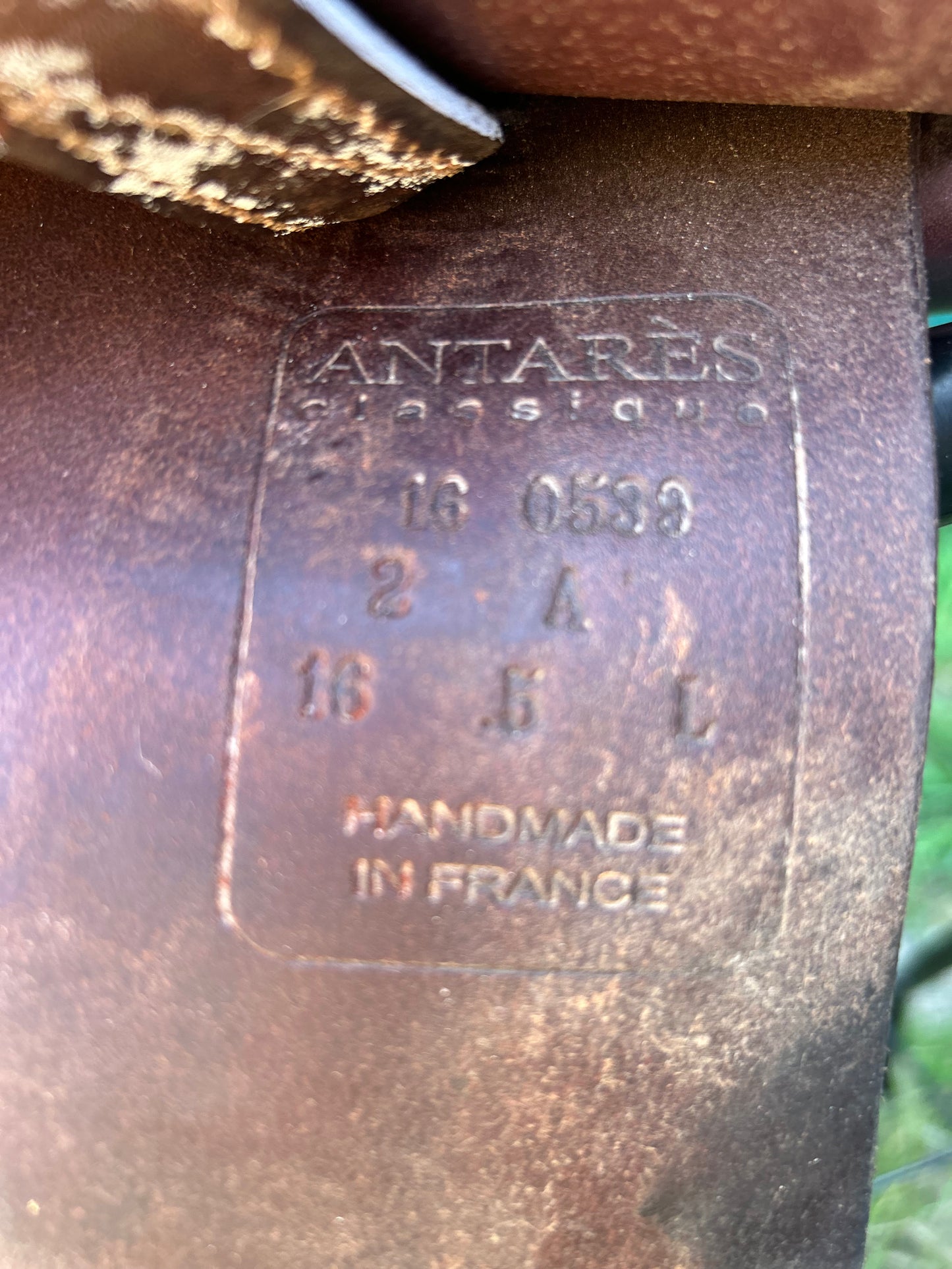 Antares Classique 16.5” L 2A